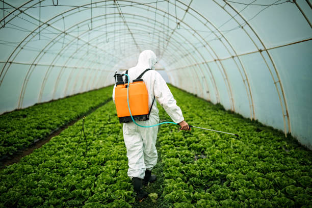 Best Emergency Pest Control  in Cross Lanes, WV