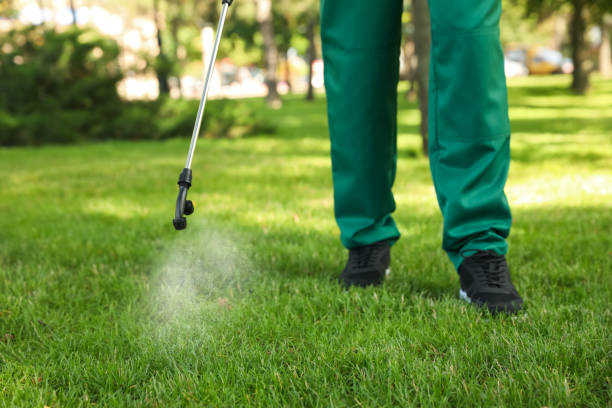 Best Wasp Removal Services  in Cross Lanes, WV