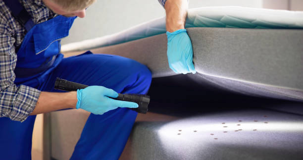 Best Commercial Pest Control Services  in Cross Lanes, WV