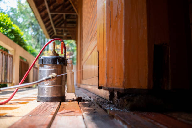 Best Cockroach Control Services  in Cross Lanes, WV