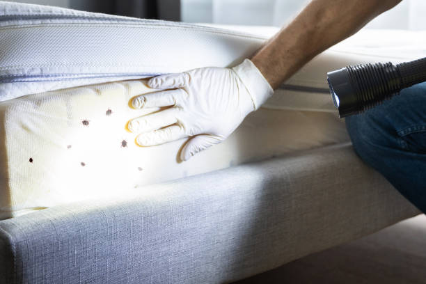 Best Exterminator Services  in Cross Lanes, WV