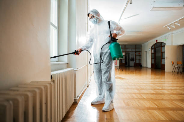 Flea Control Services in Cross Lanes, WV