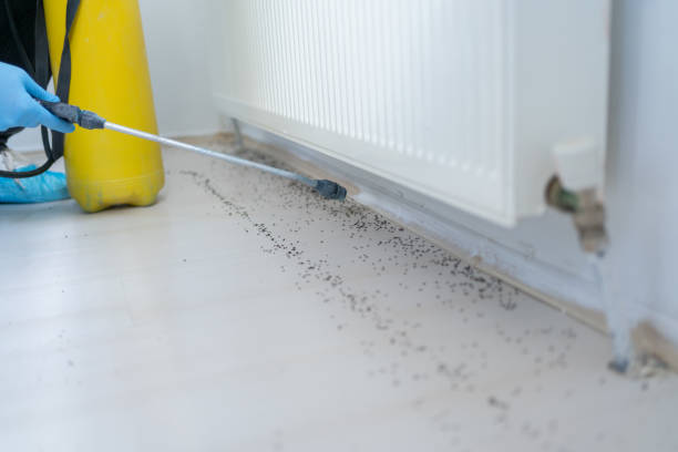 Insect Control in Cross Lanes, WV