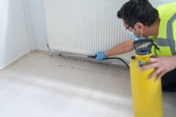 Reliable Cross Lanes, WV Pest Control Solutions