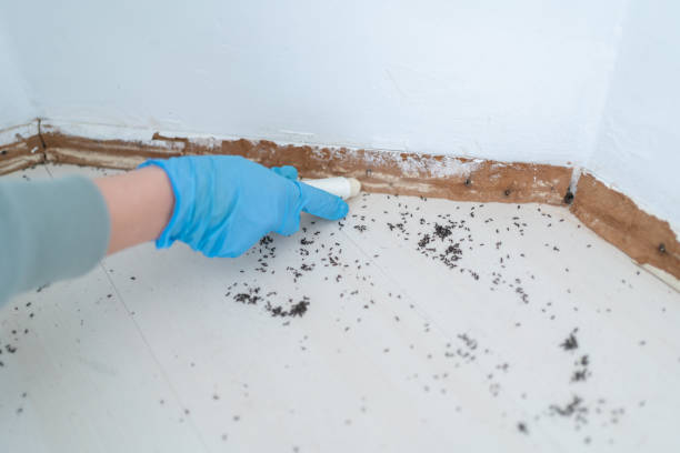 Best Best Pest Control Companies  in Cross Lanes, WV