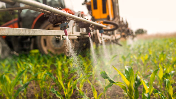 Best Ant Control Services  in Cross Lanes, WV