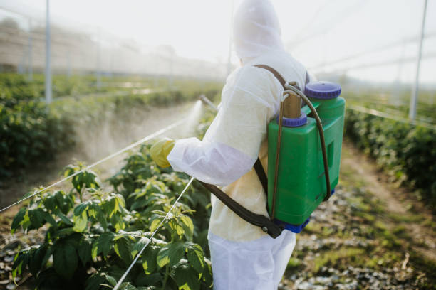 Best Best Pest Control Companies  in Cross Lanes, WV